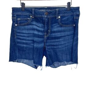 American Eagle Cut Off Jeans Shorts Size 14